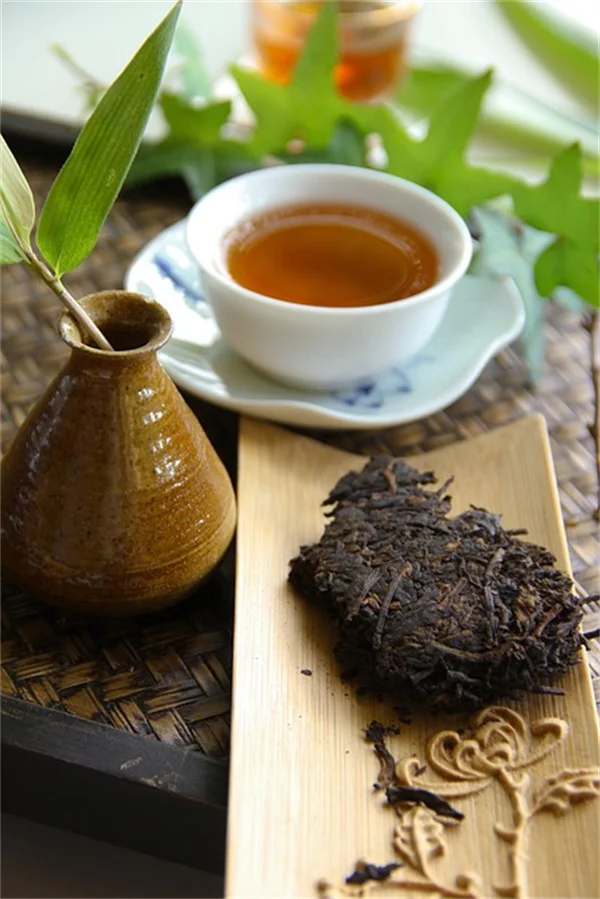 水やりが半分に！オリヤで節約する古代の知恵